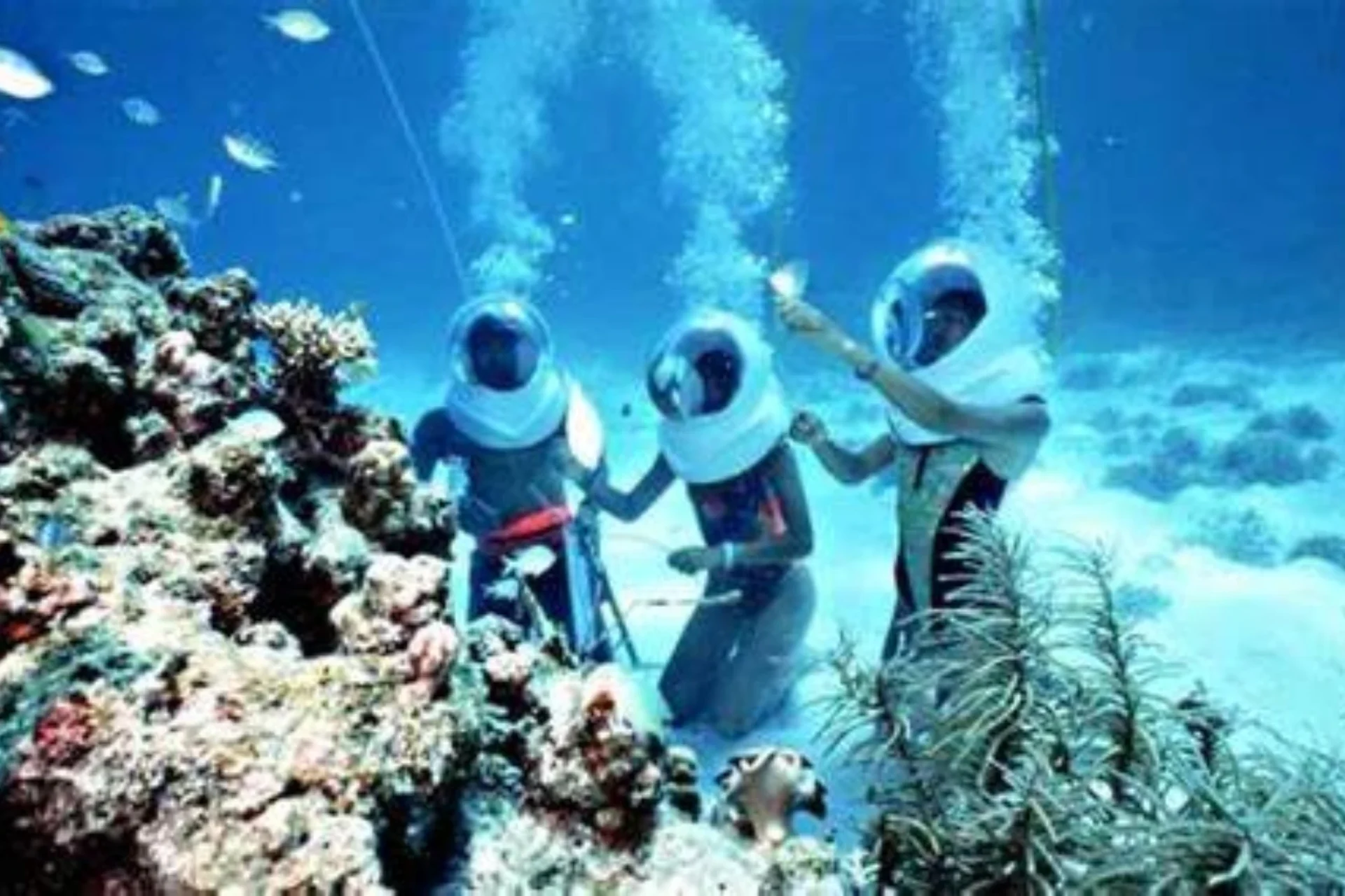 Sea Walker – Benoa Coast Sea Walker – Benoa Coast