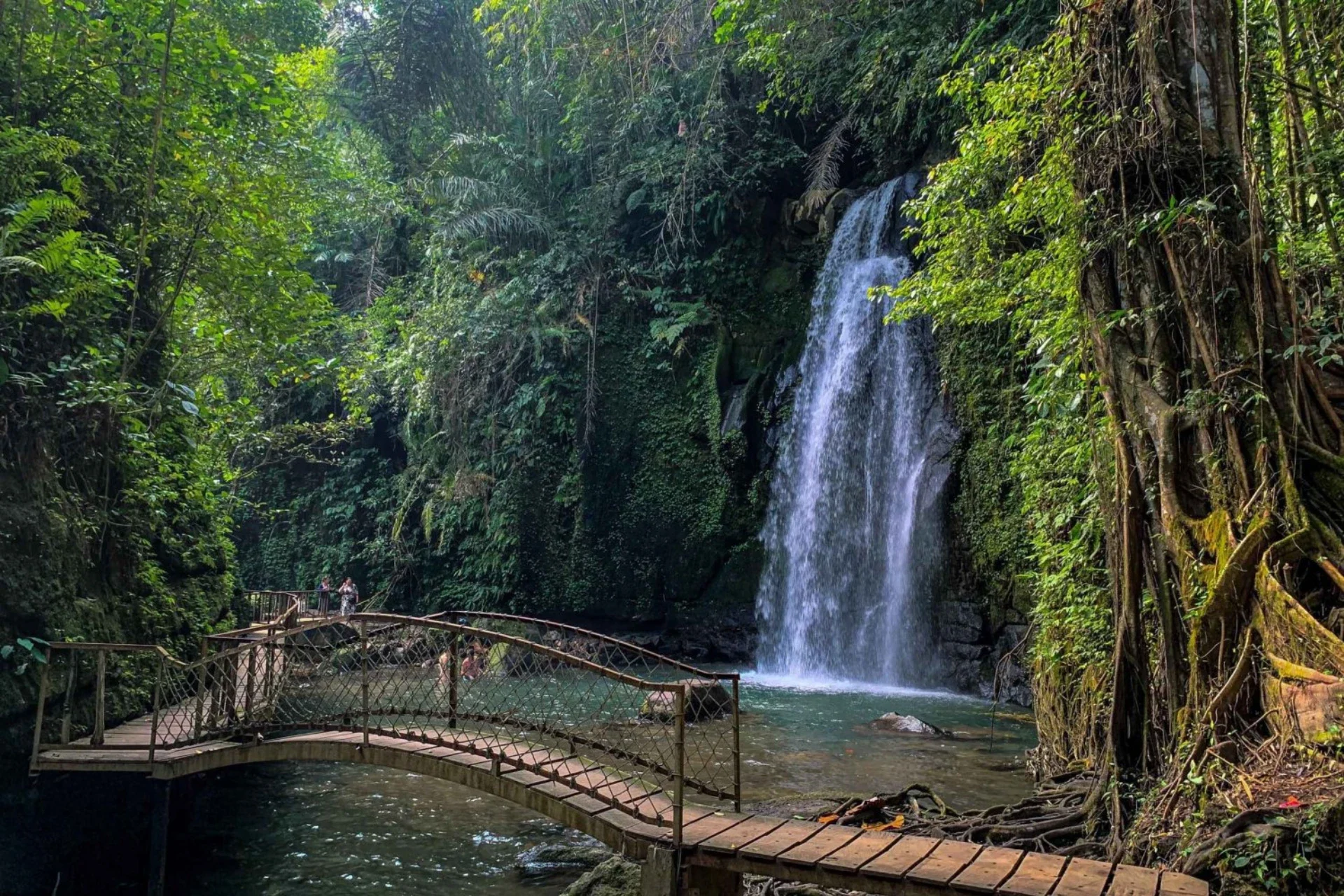 bali-ubud-rice-terraces-monkey-forest-waterfall-tour-2395599 bali-ubud-rice-terraces-monkey-forest-waterfall-tour-2395599