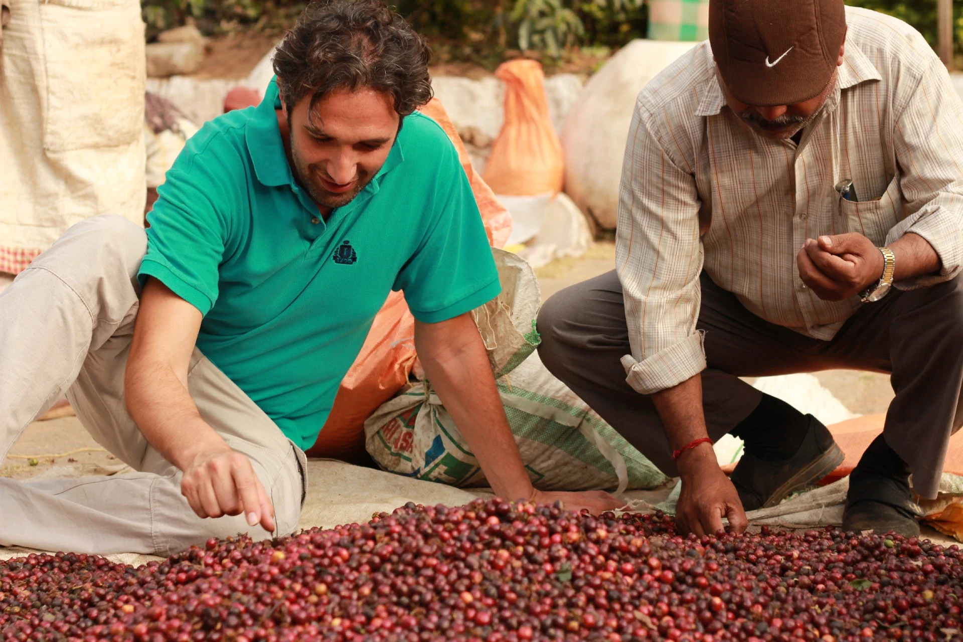 Coffe Plantation Coffe Plantation